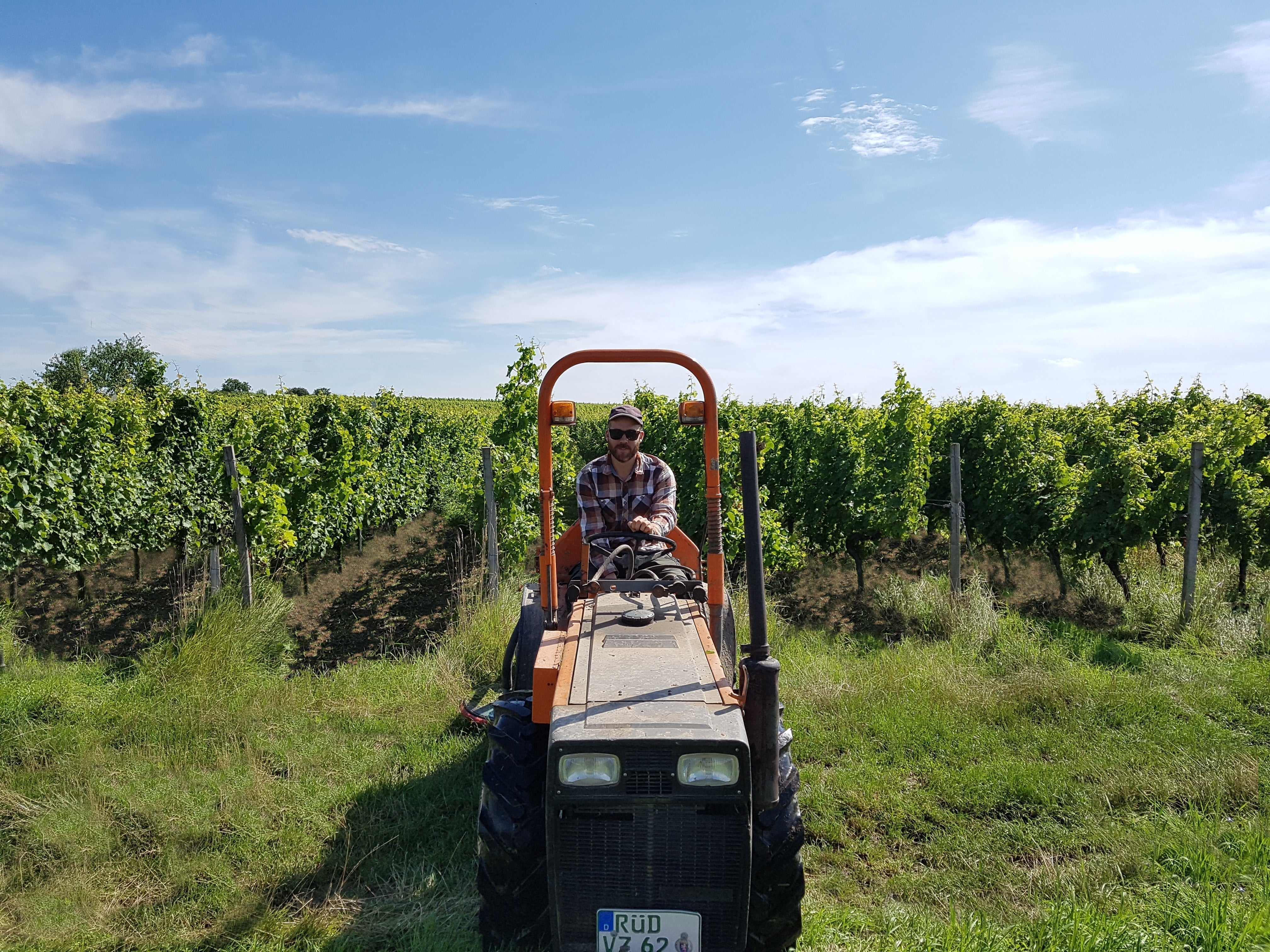 Weinwanderung zum Maifeiertag am 03.05.2026