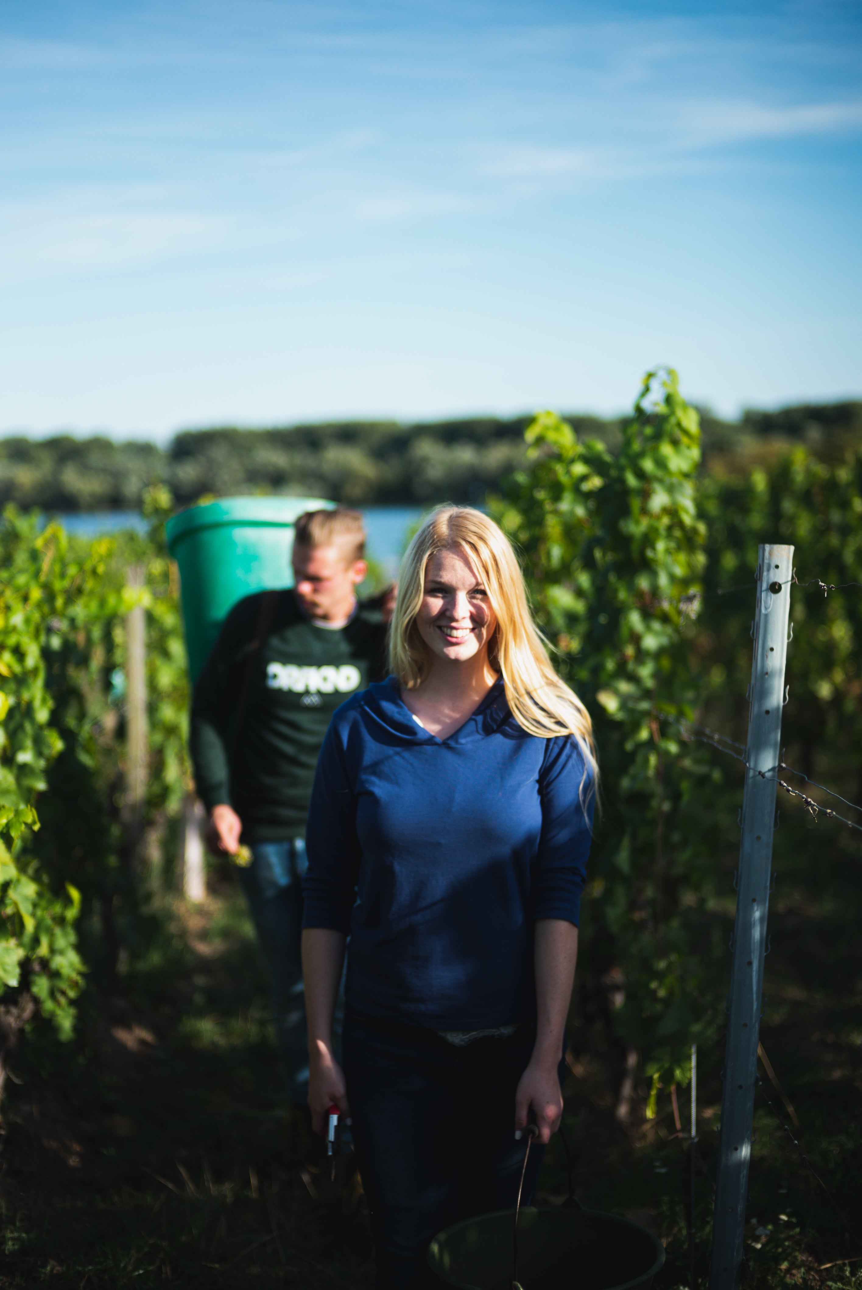 Weinlesewanderung am 27.09.2026